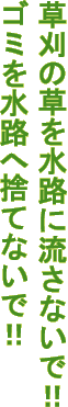 ゴミを水路へ捨てないで！！草刈の草を水路に流さないで！
