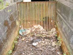 ゴミ堆積の状況